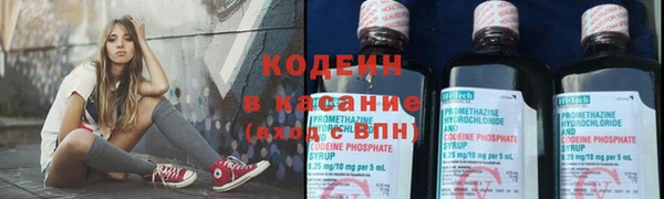 PSILOCYBIN Аркадак